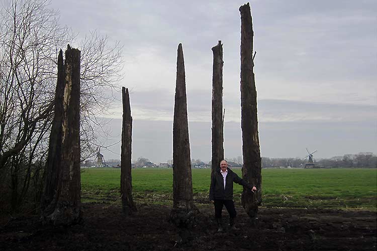 Het project veeneiken wordt als deelproject gerealiseerd binnen het grotere kader van het