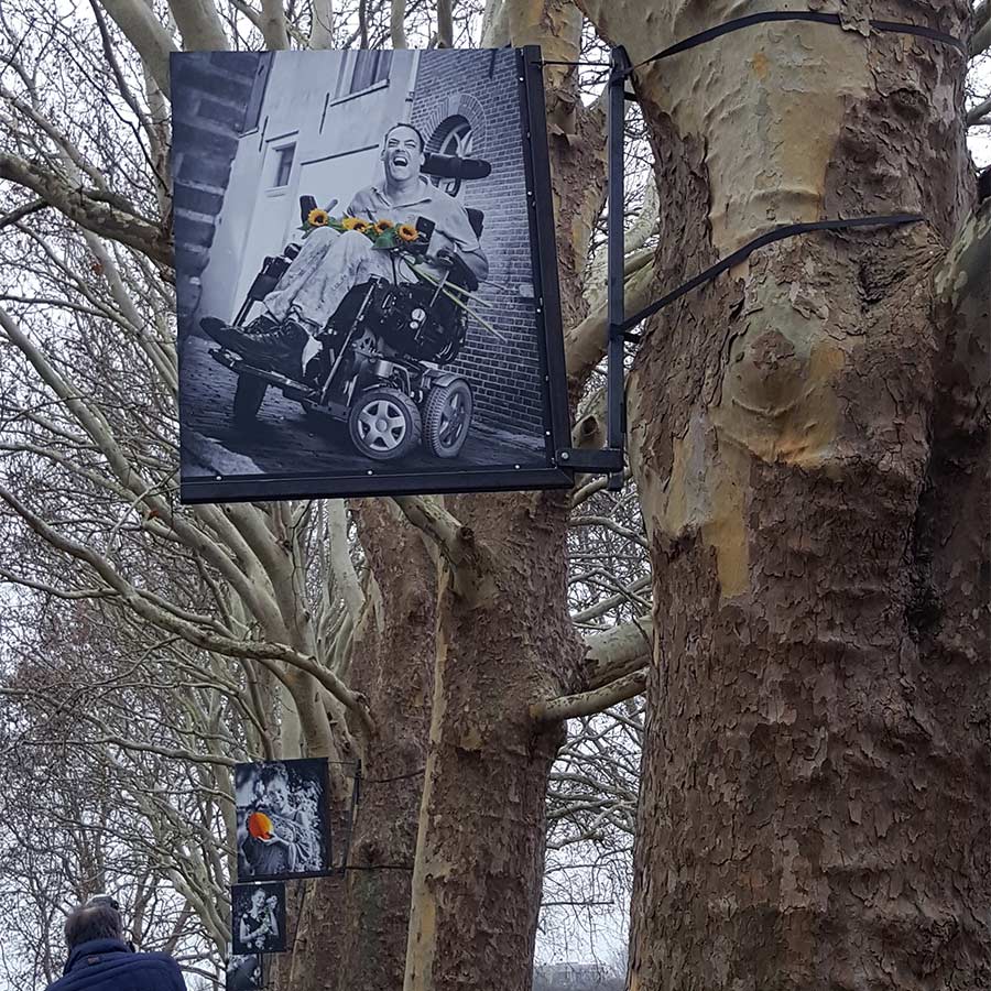 >> Honderd portretten van Gorcumers in de kastanjebomen en platanen op de stadswallen: het pad van tolerantie.